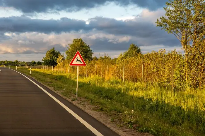 Wat betekent asstreep weg