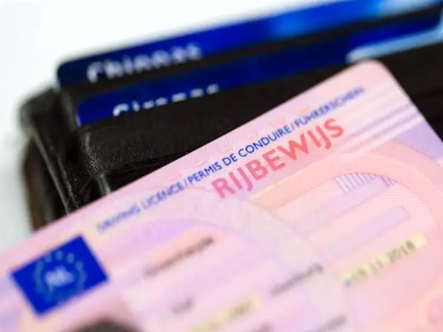 teps to secure your driver licence netherlands